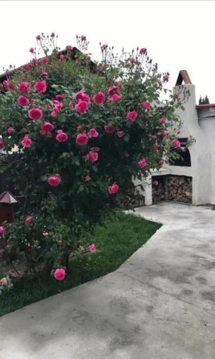 Casa Tibi Si Nico Hotel Западен Ефорие Екстериор снимка